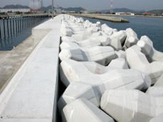 Hyogo prefecture, Mega Port