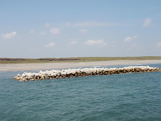 Shizuoka prefecture, Shinohara coast